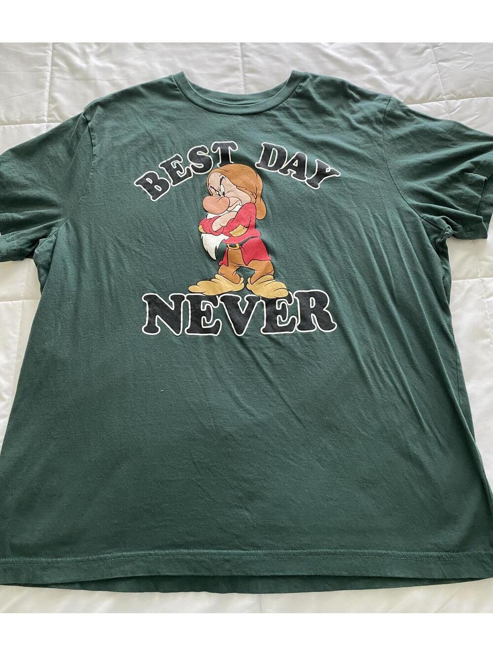 Official Disney Parks Grumpy Dwarf Best Day Never Graphic T-Shirt Green